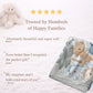 Personalized Dinosaur baby blanket with name - embroidered look details in soft neutral colors. A cozy newborn blanket and timeless boutique baby gift.