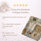 Personalized baby blanket with name in a patchwork look with cute puppy motifs in neutral tones. Printed quilt style for cozy modern nurseries.
