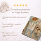 Personalized baby blanket with name in a patchwork look with sweet kitten motifs in neutral tones. Printed quilt style for cozy modern nurseries.
