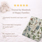 Personalized Dinosaur Baby Blanket with Name • Embroidered Look Dino Nursery • Neutral Kids Blanket • T-Rex Gift