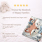 Embroidered-look fox baby blanket with soft floral crown and gentle blue–peach stitched details on a neutral background.