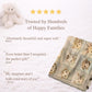 Personalized velveteen baby blanket with a quilt-inspired patchwork of soft safari animals. A cozy, timeless newborn or baby shower.