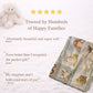 Personalized patchwork look baby blanket with farm quilt design in soft neutral colors. A cozy newborn blanket and timeless boutique baby gift.